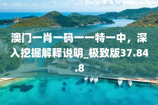 澳門一肖一碼一一特一中，深入挖掘解釋說明_極致版37.84.8