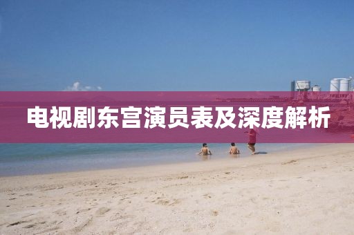電視劇東宮演員表及深度解析