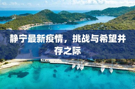 靜寧最新疫情，挑戰與希望并存之際