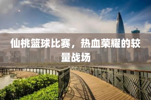 仙桃籃球比賽，熱血榮耀的較量戰場
