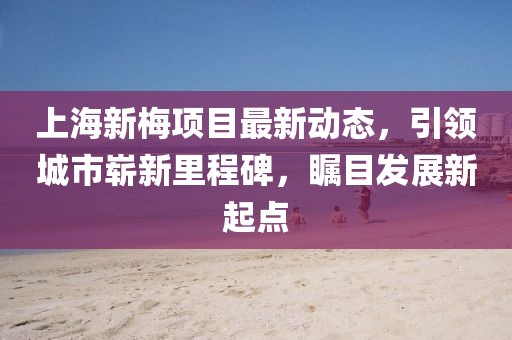 上海新梅項目最新動態，引領城市嶄新里程碑，矚目發展新起點