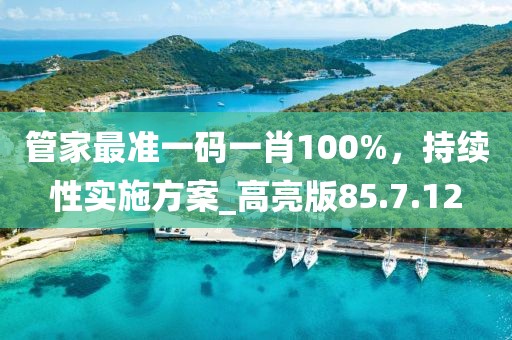 管家最準一碼一肖100%，持續性實施方案_高亮版85.7.12