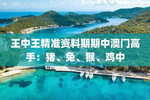 王中王精準資料期期中澳門高手：豬、兔、猴、雞中