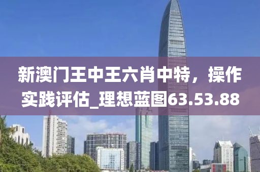 新澳門王中王六肖中特，操作實踐評估_理想藍圖63.53.88