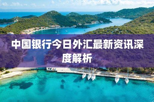 中國銀行今日外匯最新資訊深度解析