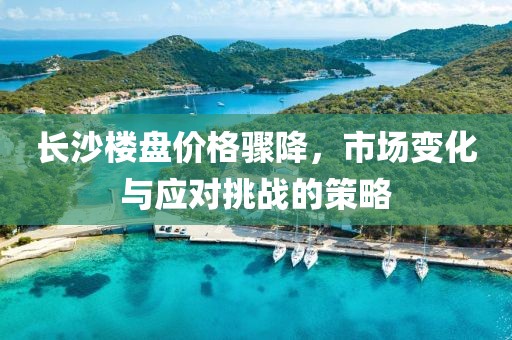 長沙樓盤價格驟降，市場變化與應對挑戰的策略