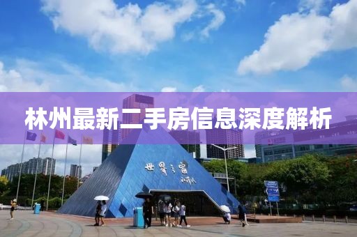 林州最新二手房信息深度解析