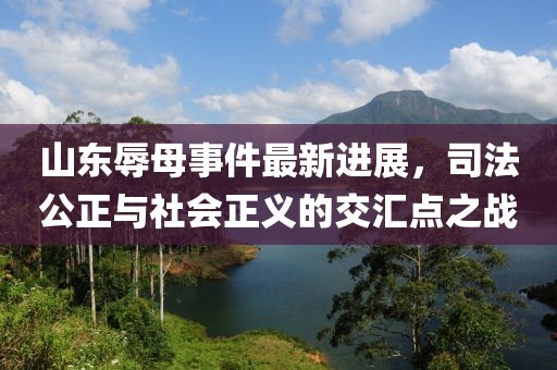 山東辱母事件最新進展，司法公正與社會正義的交匯點之戰