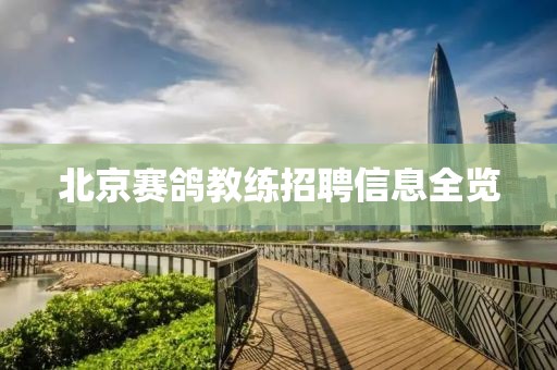 北京賽鴿教練招聘信息全覽