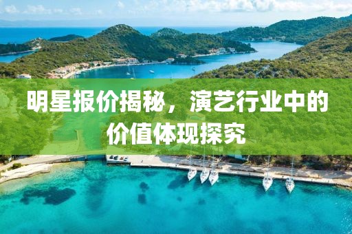 明星報價揭秘，演藝行業中的價值體現探究