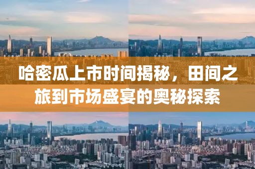 哈密瓜上市時間揭秘，田間之旅到市場盛宴的奧秘探索