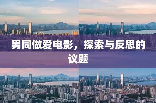男同做愛電影，探索與反思的議題
