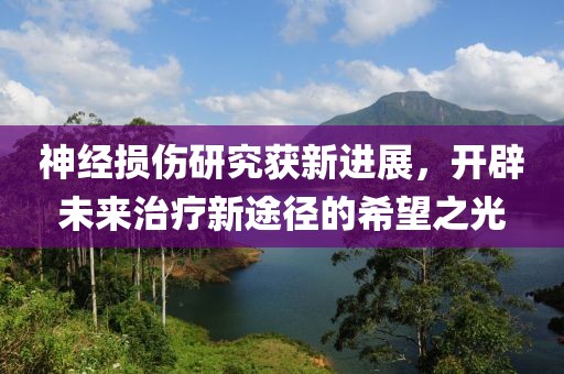 神經損傷研究獲新進展，開辟未來治療新途徑的希望之光