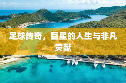 足球傳奇，巨星的人生與非凡貢獻