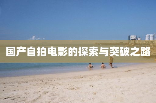 國產自拍電影的探索與突破之路