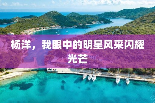 楊洋，我眼中的明星風采閃耀光芒