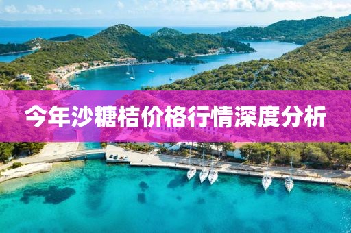 今年沙糖桔價格行情深度分析