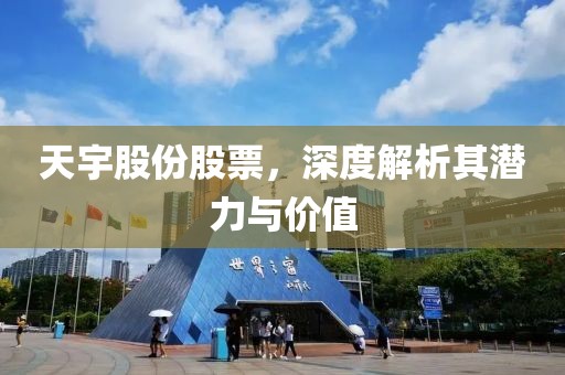 天宇股份股票，深度解析其潛力與價值