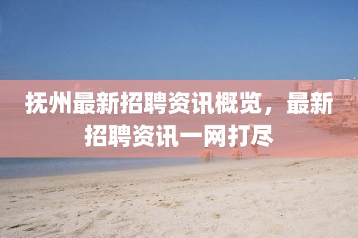 撫州最新招聘資訊概覽，最新招聘資訊一網打盡