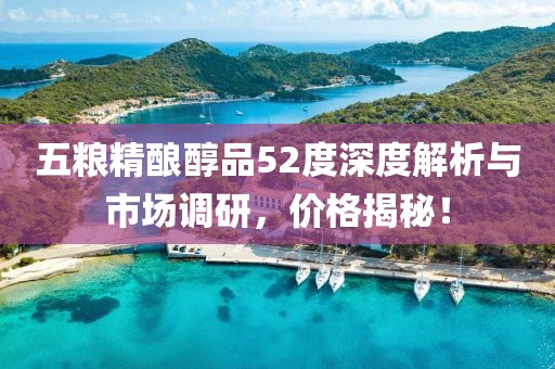 五糧精釀醇品52度深度解析與市場調研，價格揭秘！