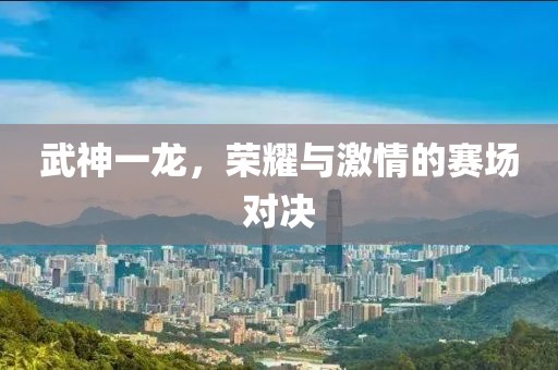武神一龍，榮耀與激情的賽場對決