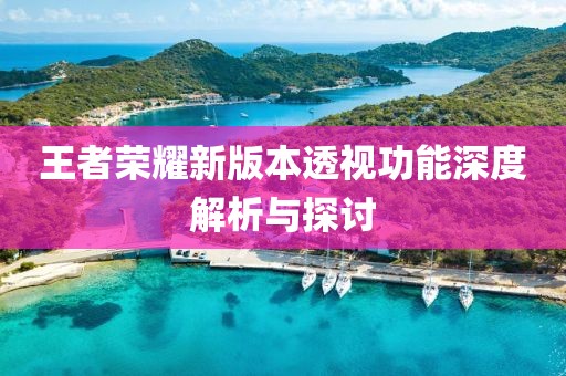 王者榮耀新版本透視功能深度解析與探討