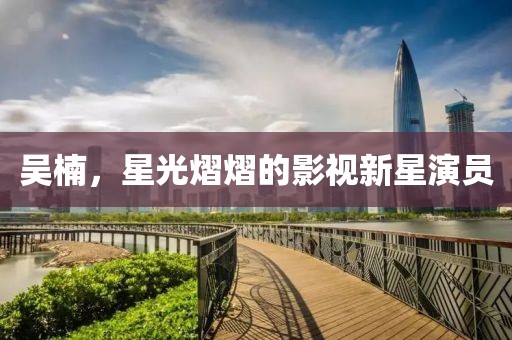 吳楠，星光熠熠的影視新星演員