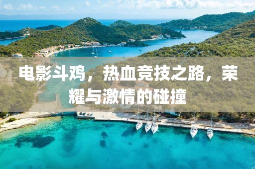 電影斗雞，熱血競技之路，榮耀與激情的碰撞