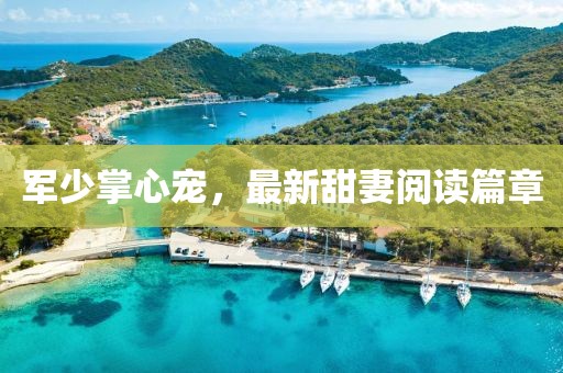 軍少掌心寵，最新甜妻閱讀篇章