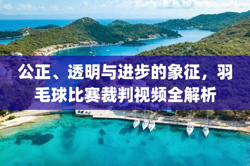 公正、透明與進步的象征，羽毛球比賽裁判視頻全解析