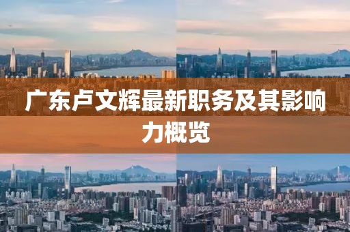廣東盧文輝最新職務及其影響力概覽