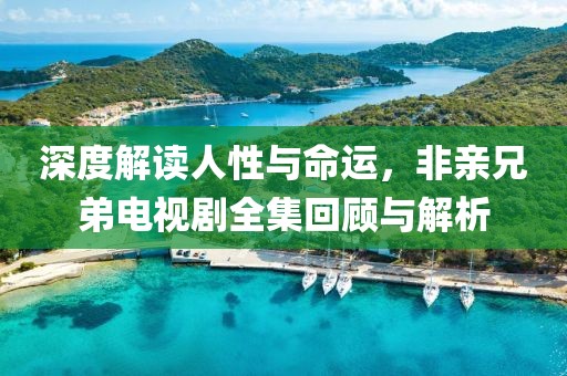 深度解讀人性與命運，非親兄弟電視劇全集回顧與解析