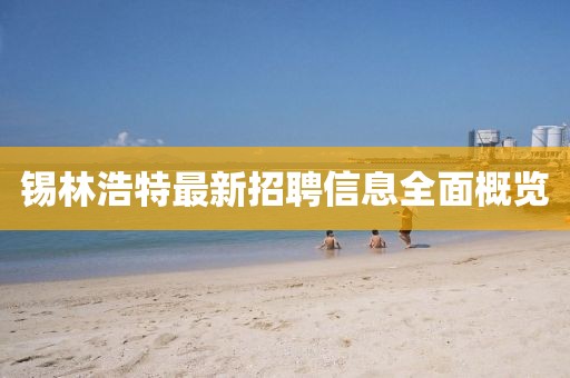 錫林浩特最新招聘信息全面概覽