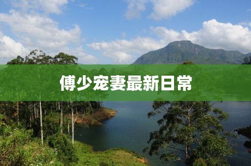 傅少寵妻最新日常