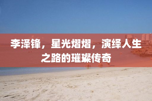 李澤鋒，星光熠熠，演繹人生之路的璀璨傳奇