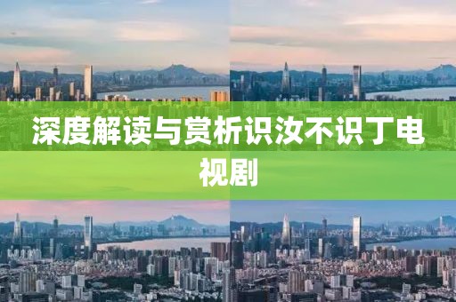 深度解讀與賞析識汝不識丁電視劇