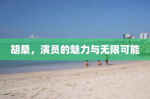 胡桑，演員的魅力與無限可能