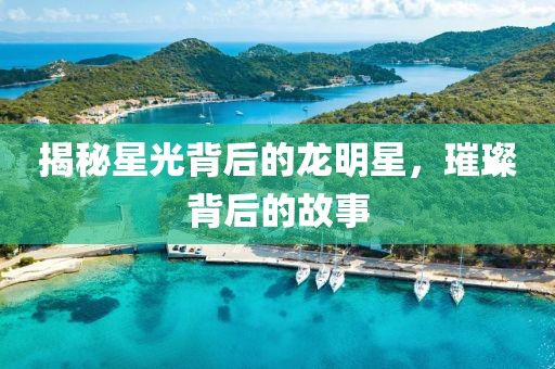 揭秘星光背后的龍明星，璀璨背后的故事