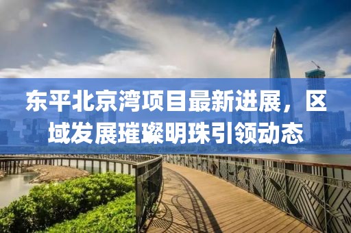 東平北京灣項目最新進展，區域發展璀璨明珠引領動態