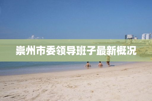 崇州市委領導班子最新概況