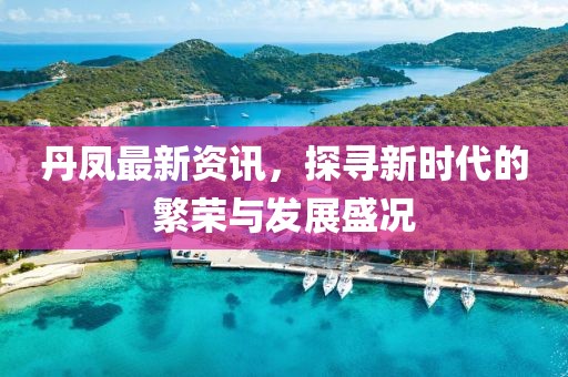 丹鳳最新資訊，探尋新時代的繁榮與發展盛況