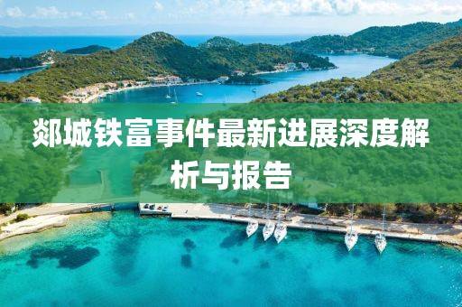 郯城鐵富事件最新進展深度解析與報告