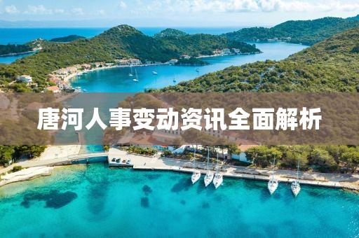 唐河人事變動資訊全面解析