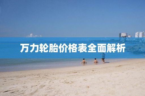 萬力輪胎價格表全面解析