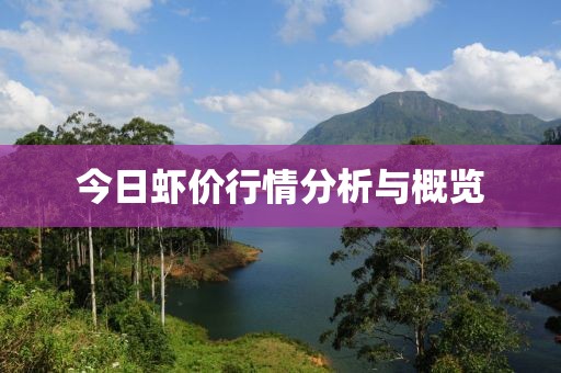 今日蝦價行情分析與概覽