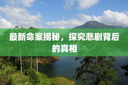 最新命案揭秘，探究悲劇背后的真相
