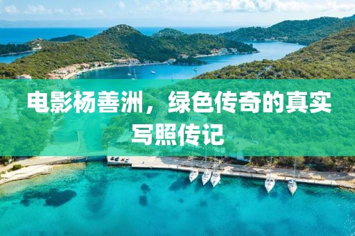 電影楊善洲，綠色傳奇的真實寫照傳記