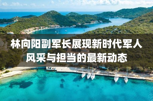 林向陽副軍長展現新時代軍人風采與擔當的最新動態