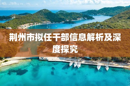 荊州市擬任干部信息解析及深度探究