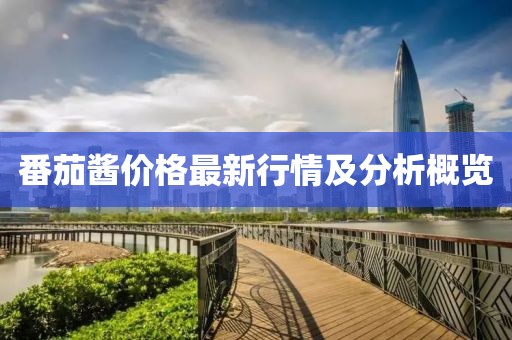 番茄醬價格最新行情及分析概覽